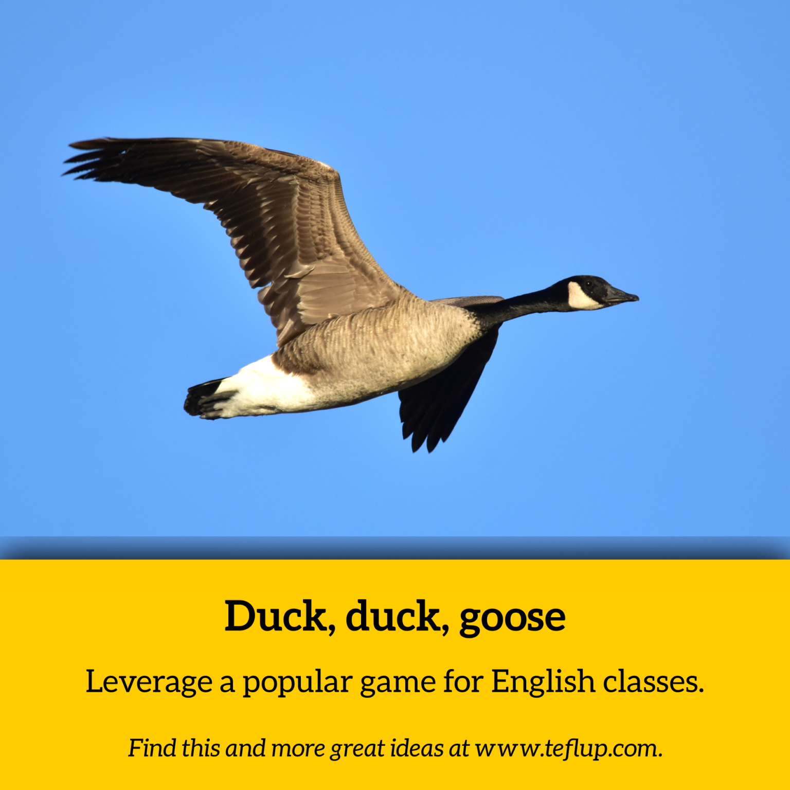 Duck Duck Goose Leverage A Popular Game For Vocabulary Practice